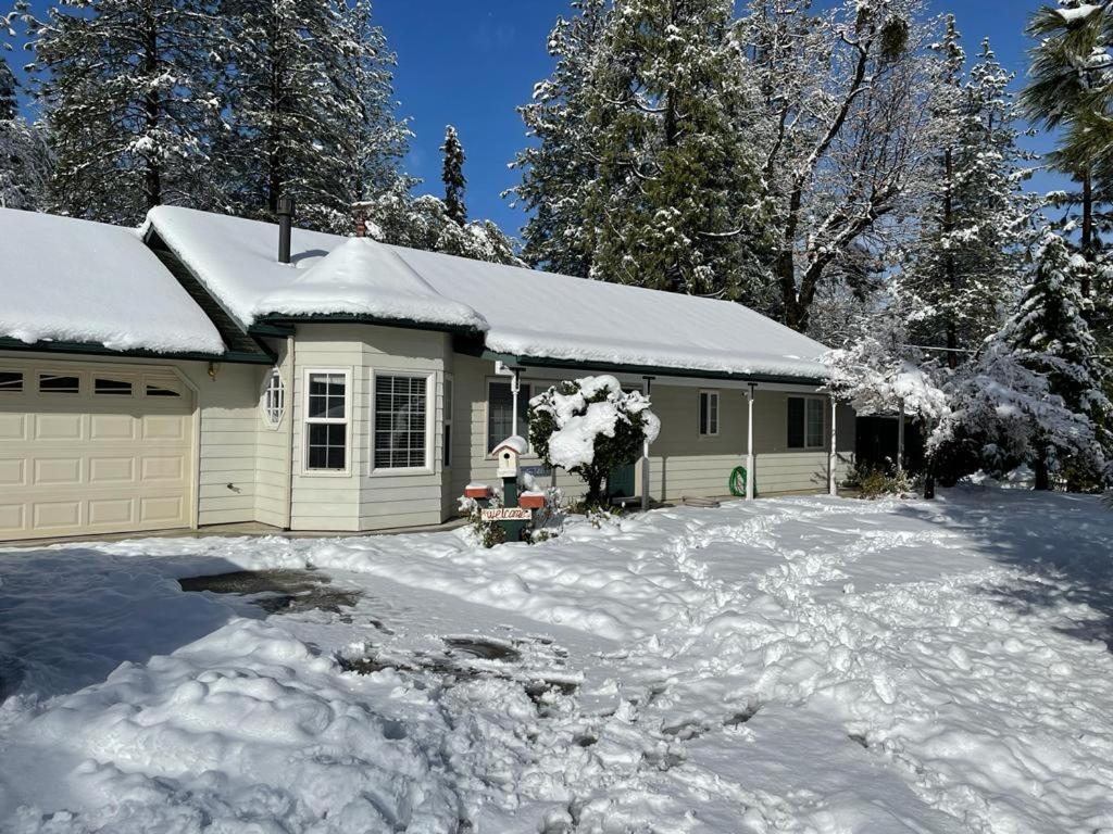 Acorn House - Charming House In Green Heaven With Pool Table With Lovely Backyard Окхерст Экстерьер фото